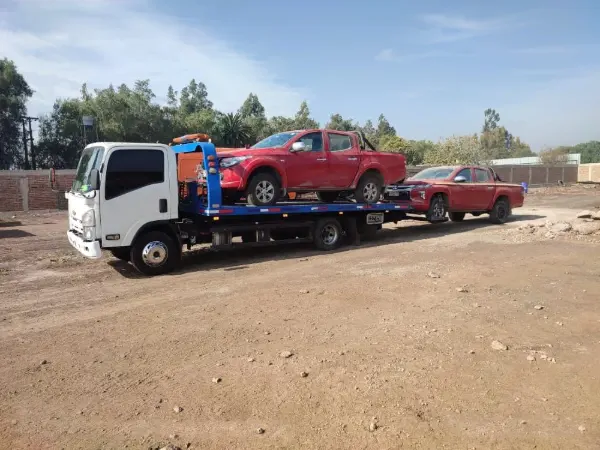 Transporte vehicular programado